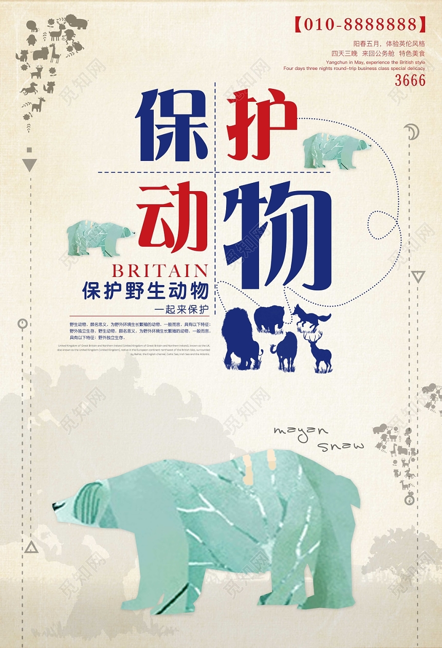 创意保护动物野生动物公益宣传海报