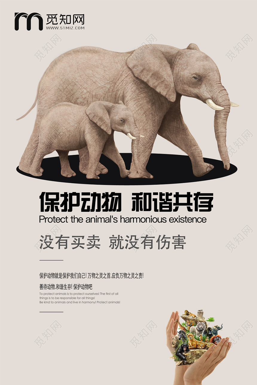 创意简约保护动物野生动物公益宣传海报