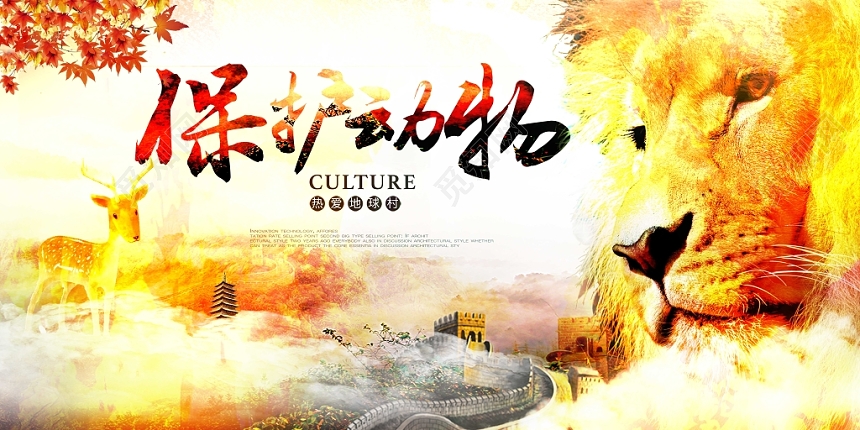 创意保护动物野生动物公益宣传展板设计