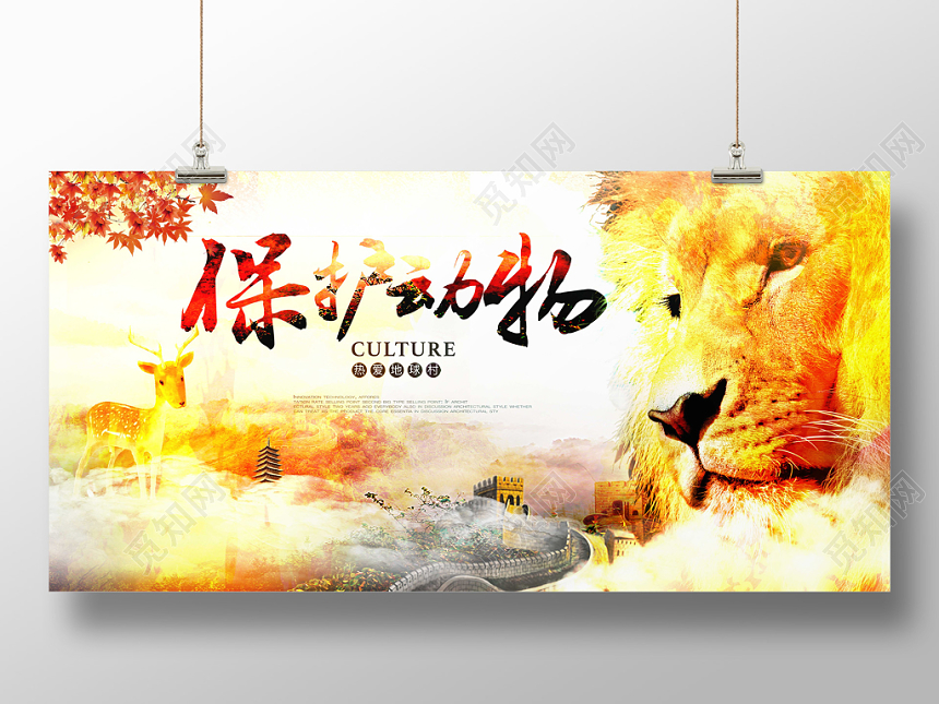 创意保护动物野生动物公益宣传展板设计