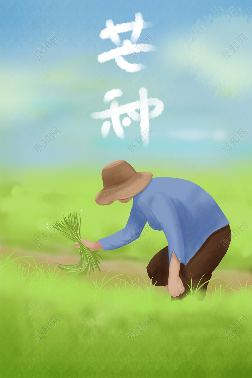 二十四节气芒种原创插画海报