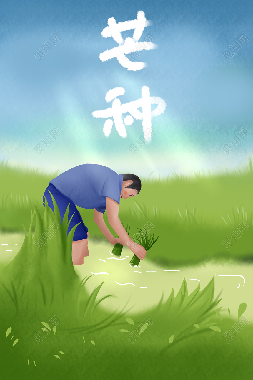 二十四节气原创芒种插画海报