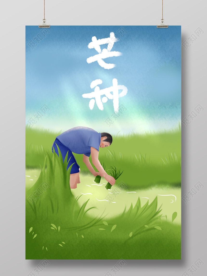 二十四节气原创芒种插画海报