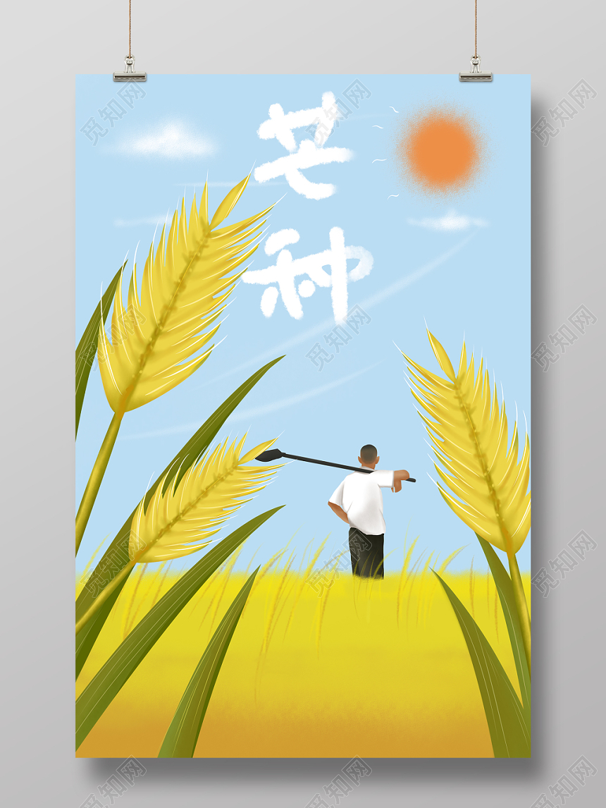 二十四节气芒种原创插画海报