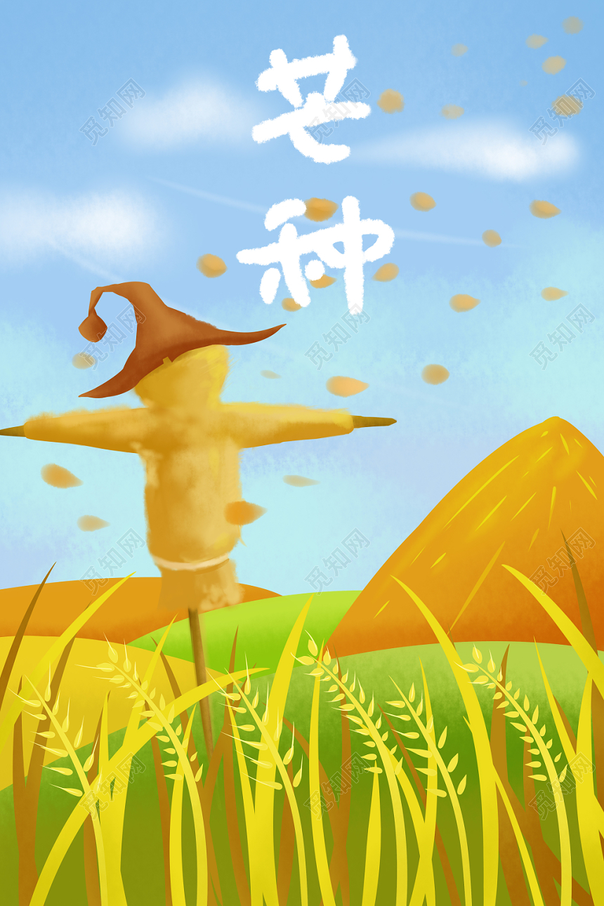 二十四节气芒种原创插画海报