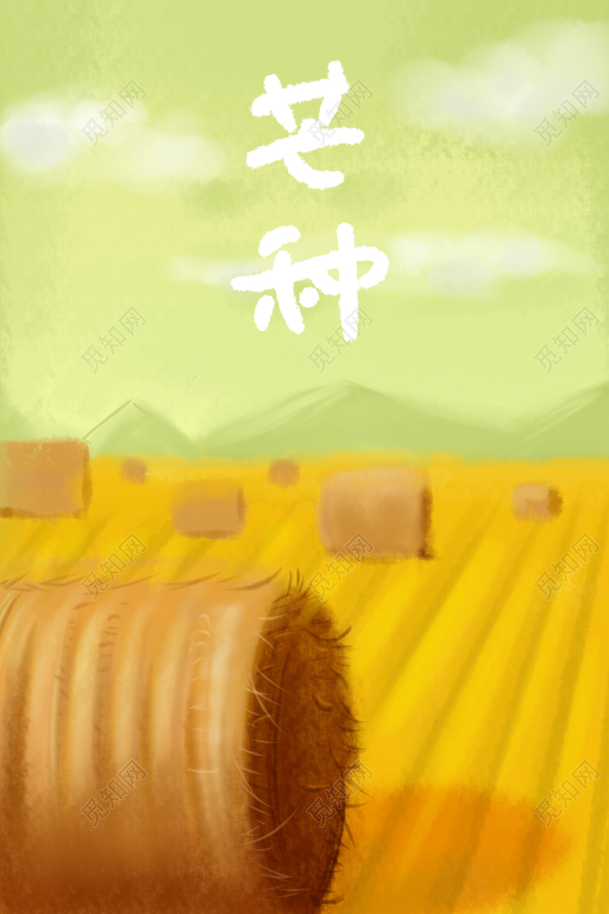 二十四节气芒种原创插画海报