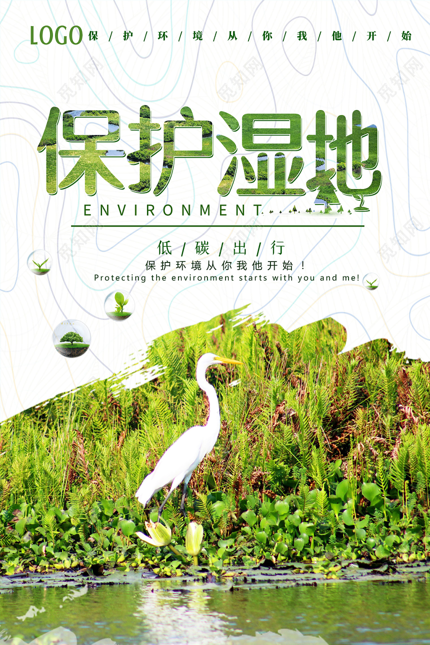 绿色清新大自然生态白鸟环境保护湿地海报
