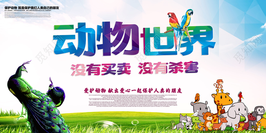 创意卡通保护动物献爱心宣传展板