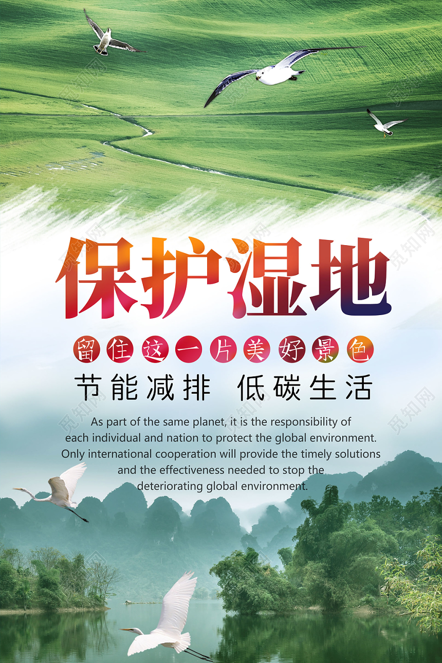 绿水青山大自然飞鸟生态环境保护湿地海报