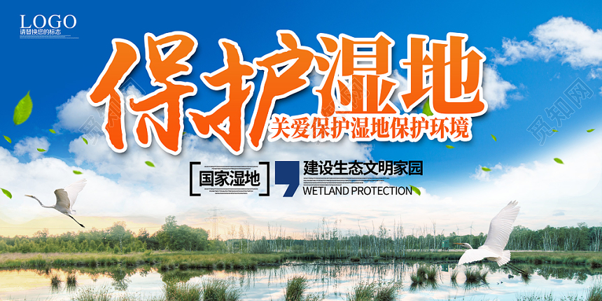 蓝天白云大自然湿地绿色生态环境保护湿地展板