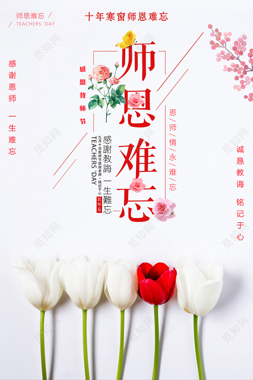 文艺小清新师恩难忘教师节海报