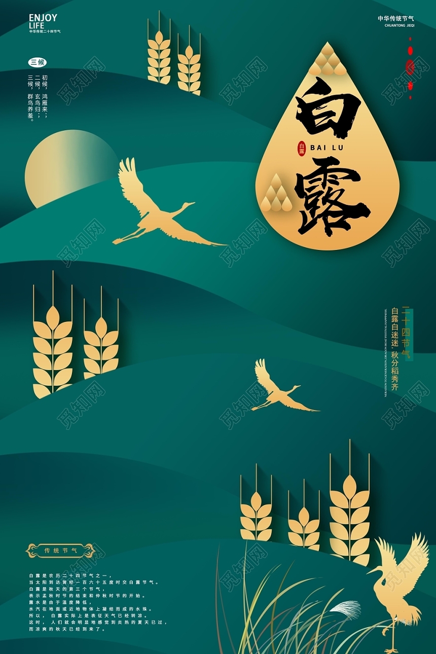 绿色大气时尚二十四节气白露宣传海报