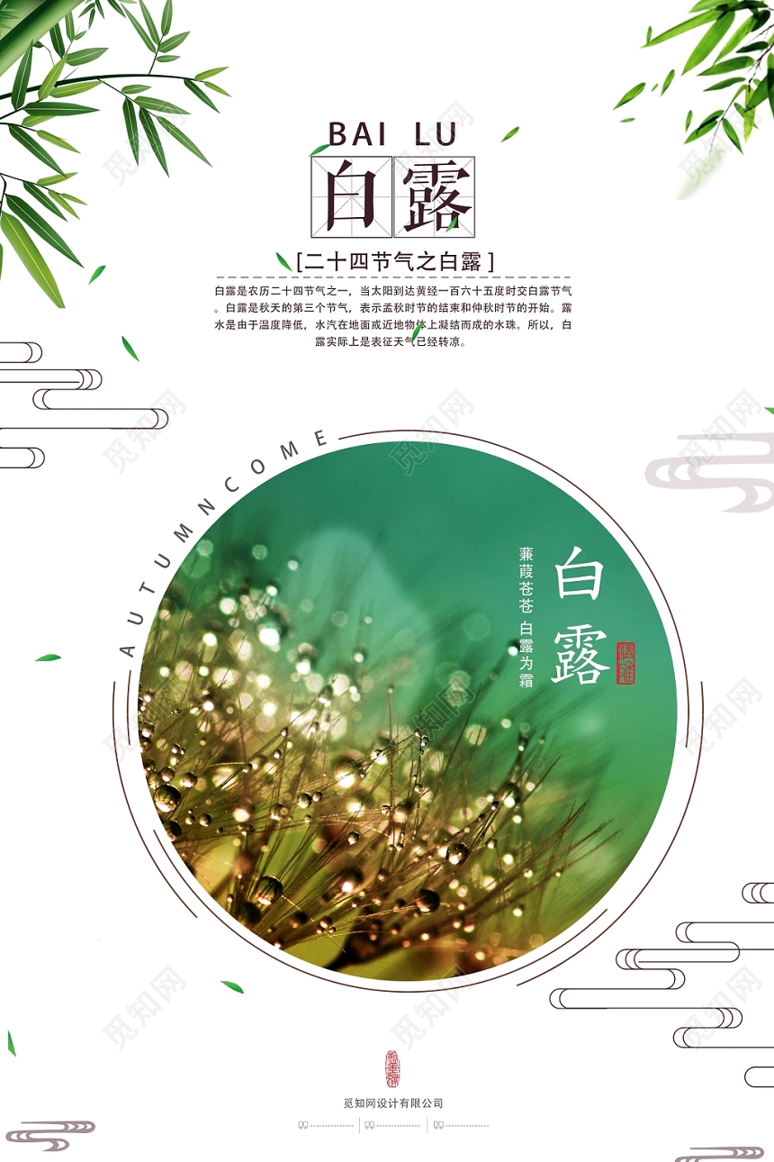 淡雅清新二十四节气白露宣传海报