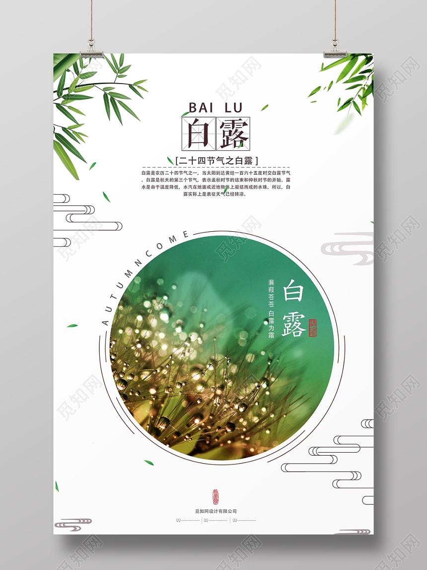 淡雅清新二十四节气白露宣传海报