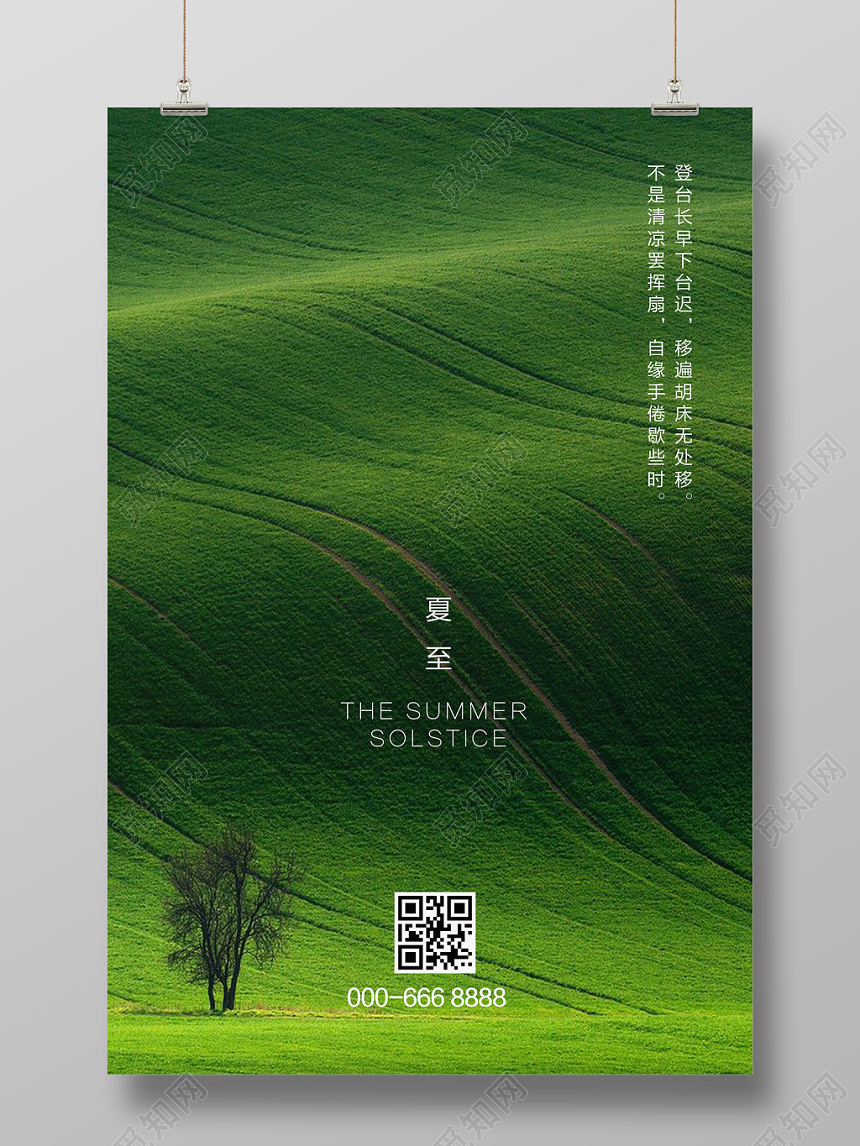 摄影实拍质感绿色草原夏至节气海报设计