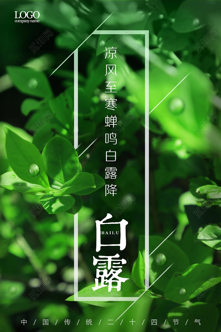 绿色简约大气二十四节气白露宣传海报