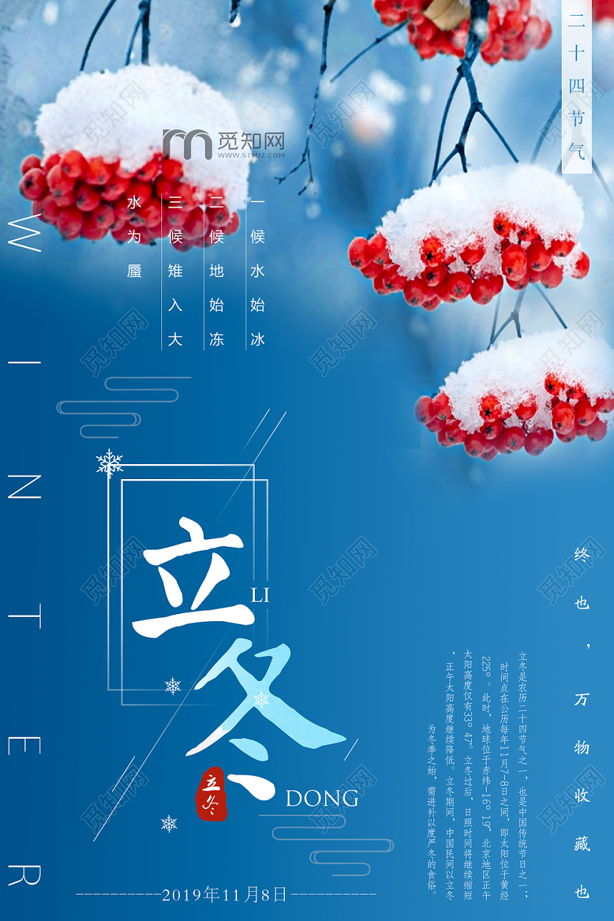 唯美视觉文艺冬青红果中国传统二十四节气立冬海报