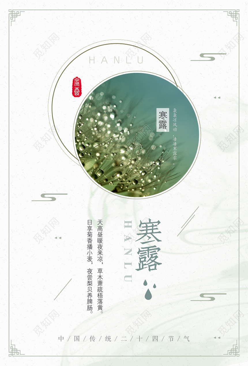 简约寒露24二十四节气露水宣传展板海报