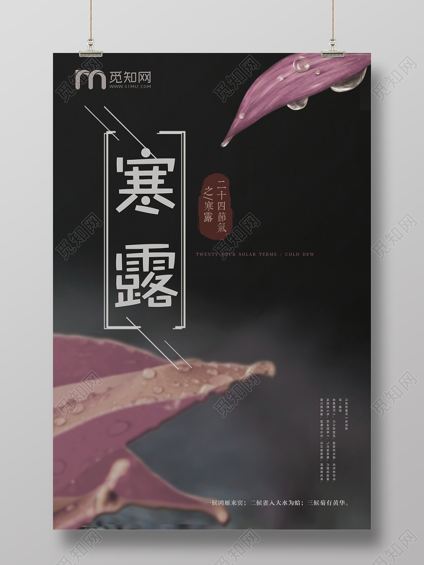 简约寒露24二十四节气叶子露水宣传展板海报