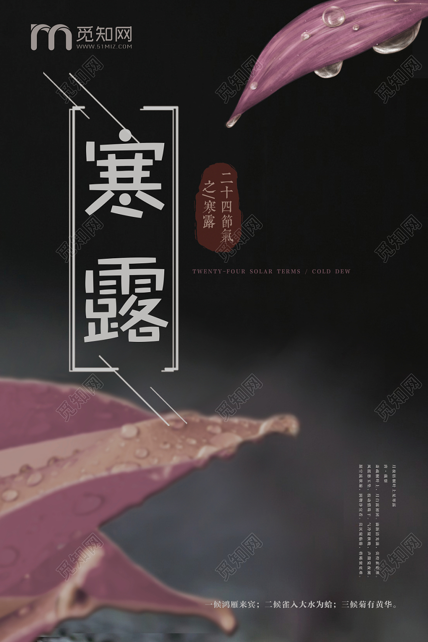 简约寒露24二十四节气叶子露水宣传展板海报