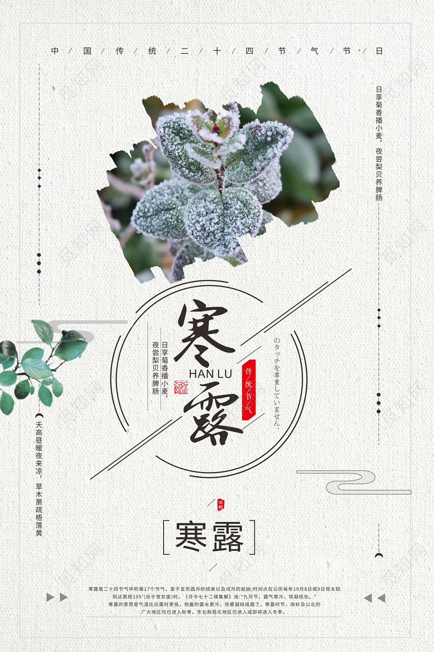 米白色背景二十四节气寒露海报