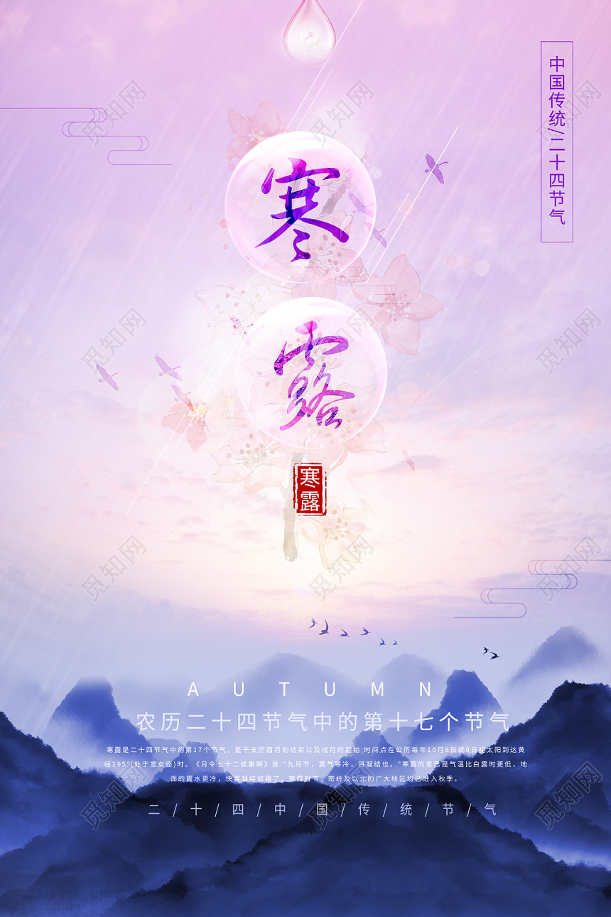 紫色水滴背景传统二十四节气寒露海报