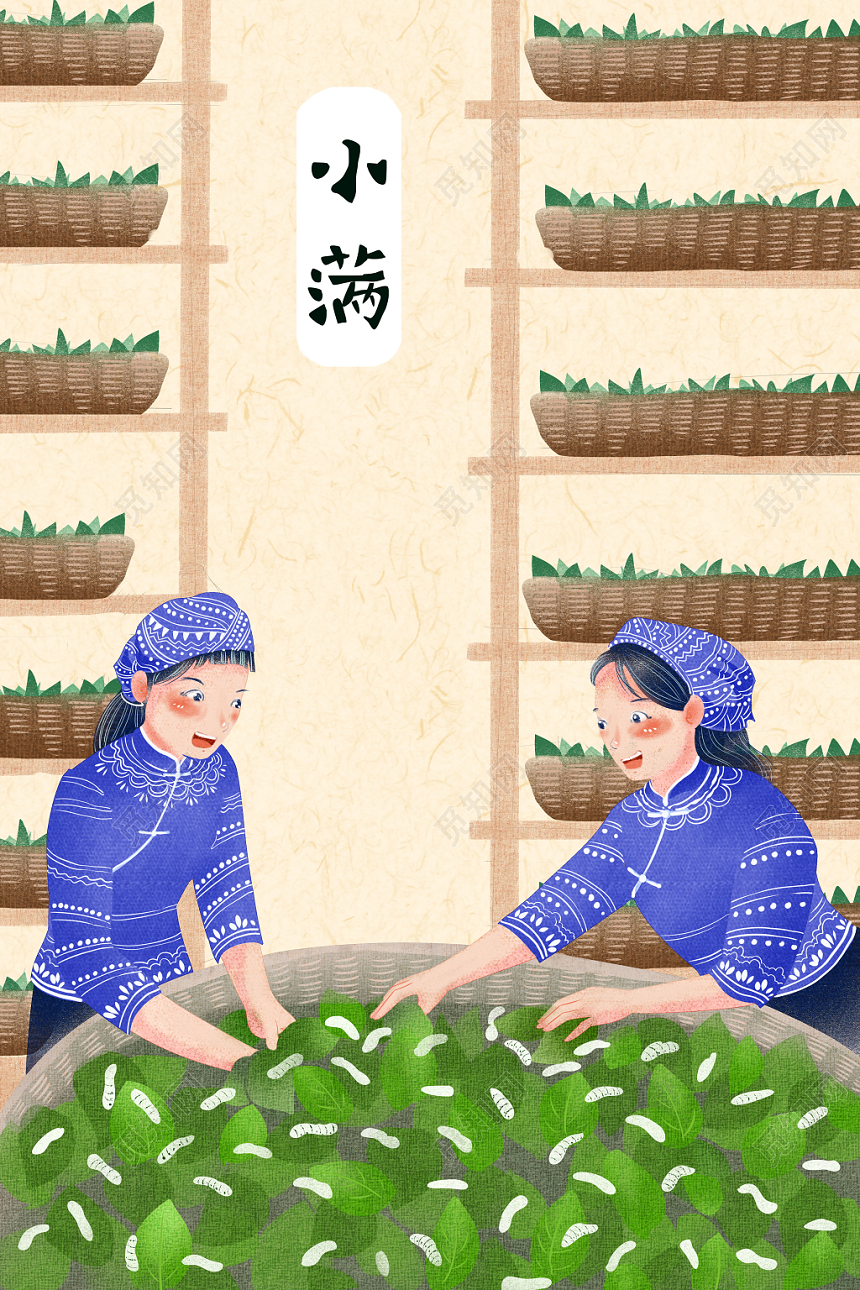 二十四节气小满原创插画海报