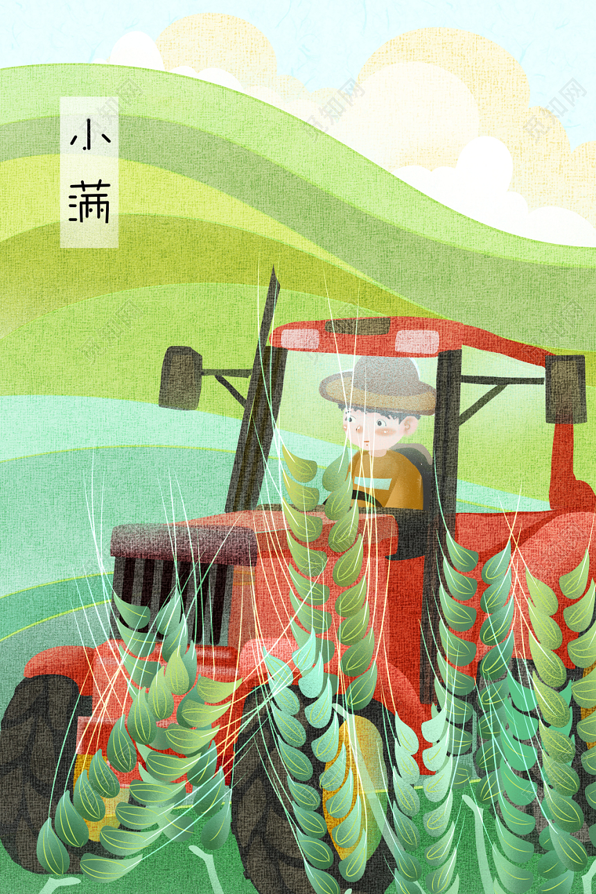 二十四节小满气原创插画海报