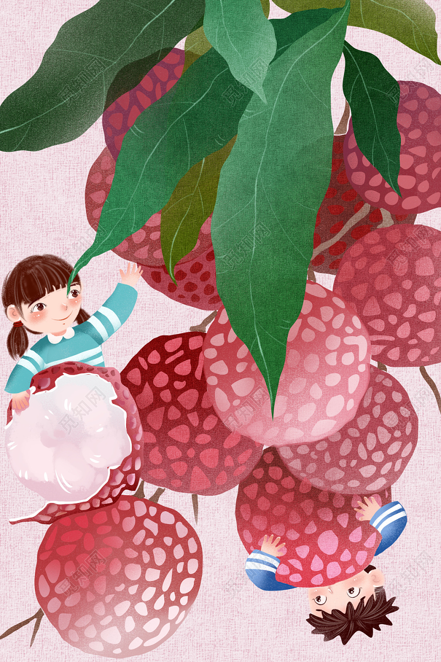 二十四节气小满原创插画海报