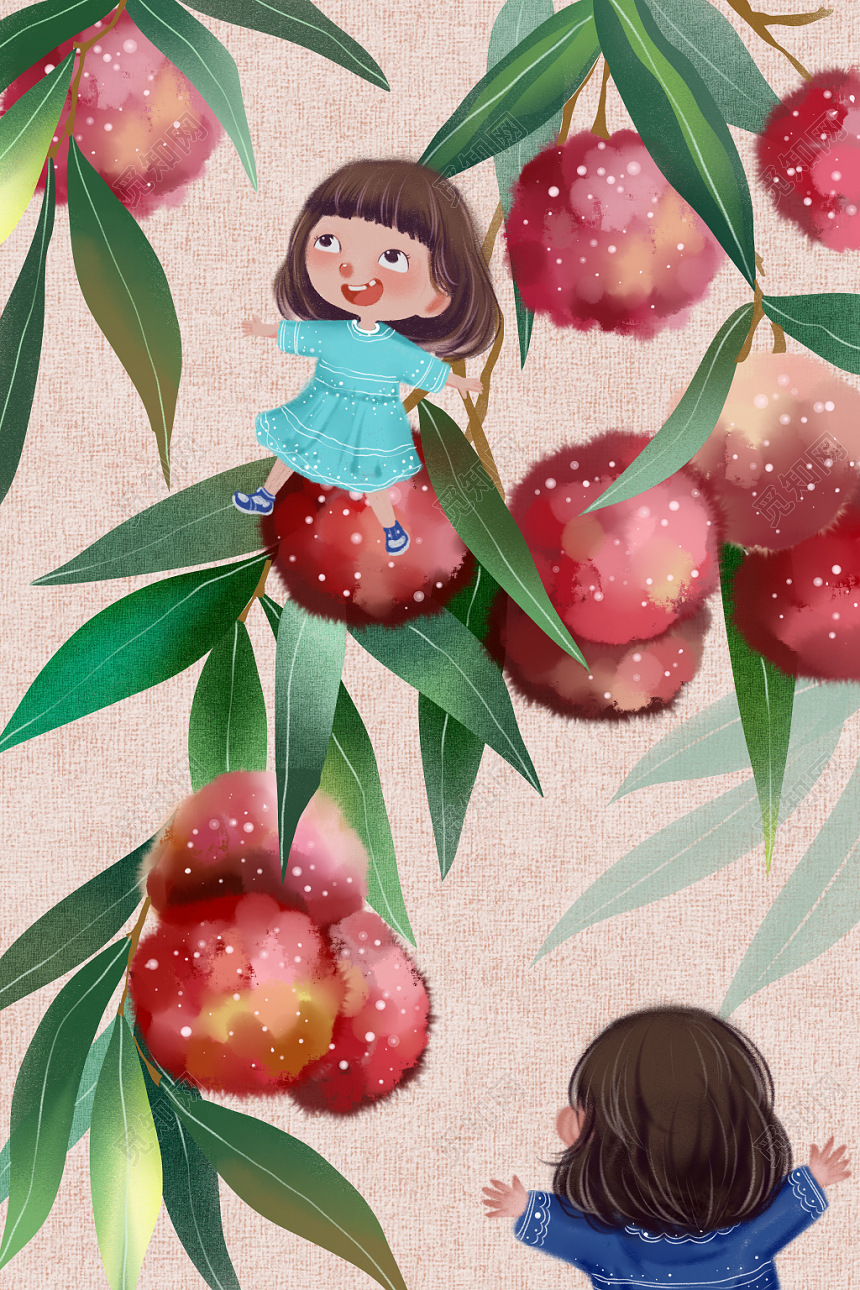 二十四节气小满 原创插画海报