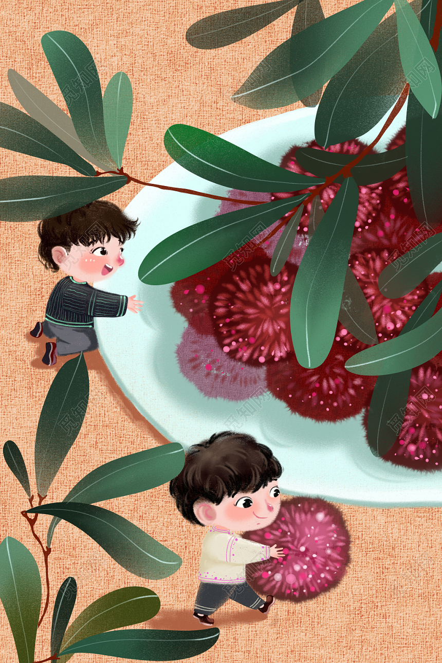 二十四节气小满原创插画海报