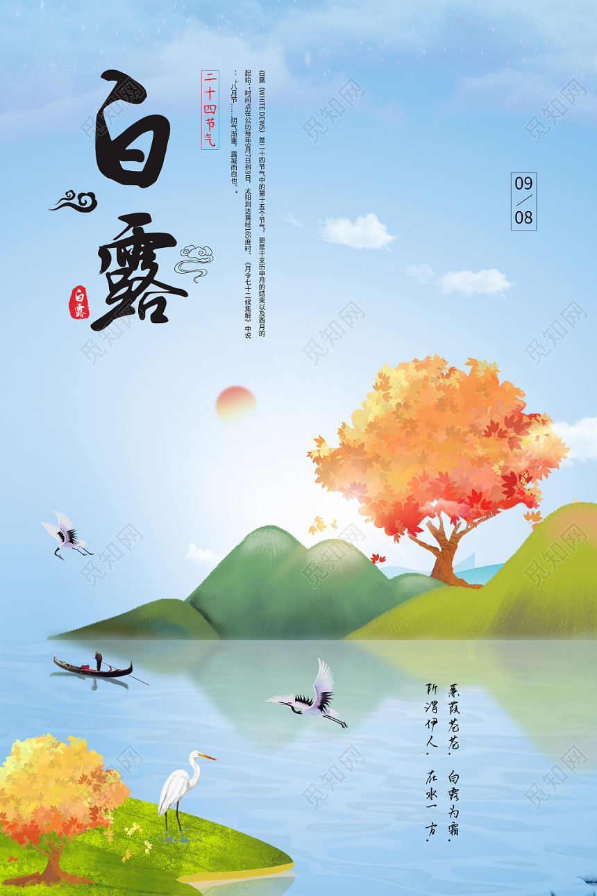中国传统节日二十四节气之白露手绘简约风格宣传海报