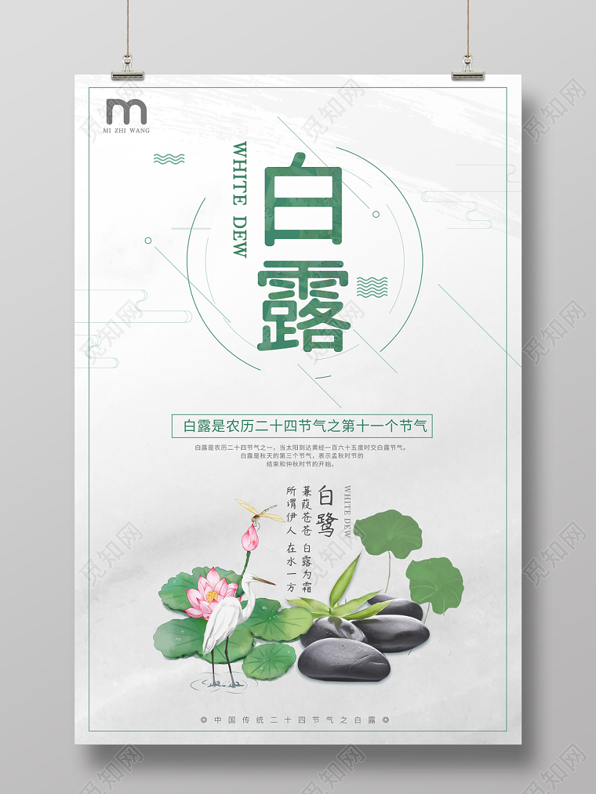 中国传统节日二十四节气之白露荷塘宣传海报