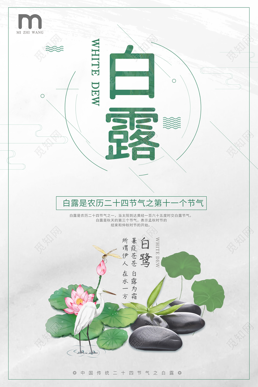 中国传统节日二十四节气之白露荷塘宣传海报
