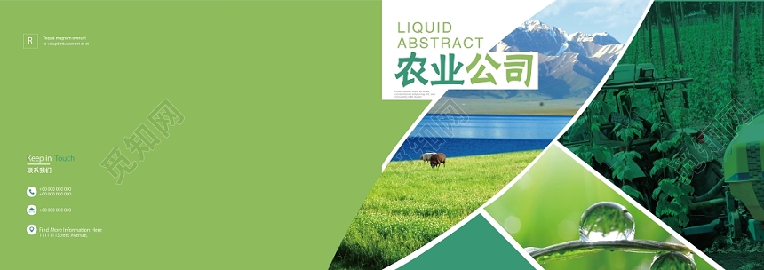 简约几何绿色农产品蔬菜水果画册封面