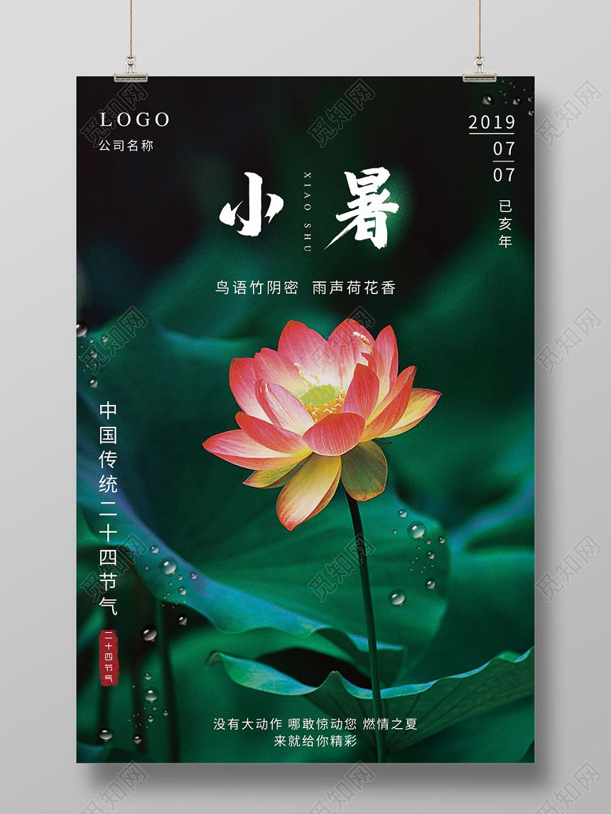 小暑24节气二十四节气荷花深绿色