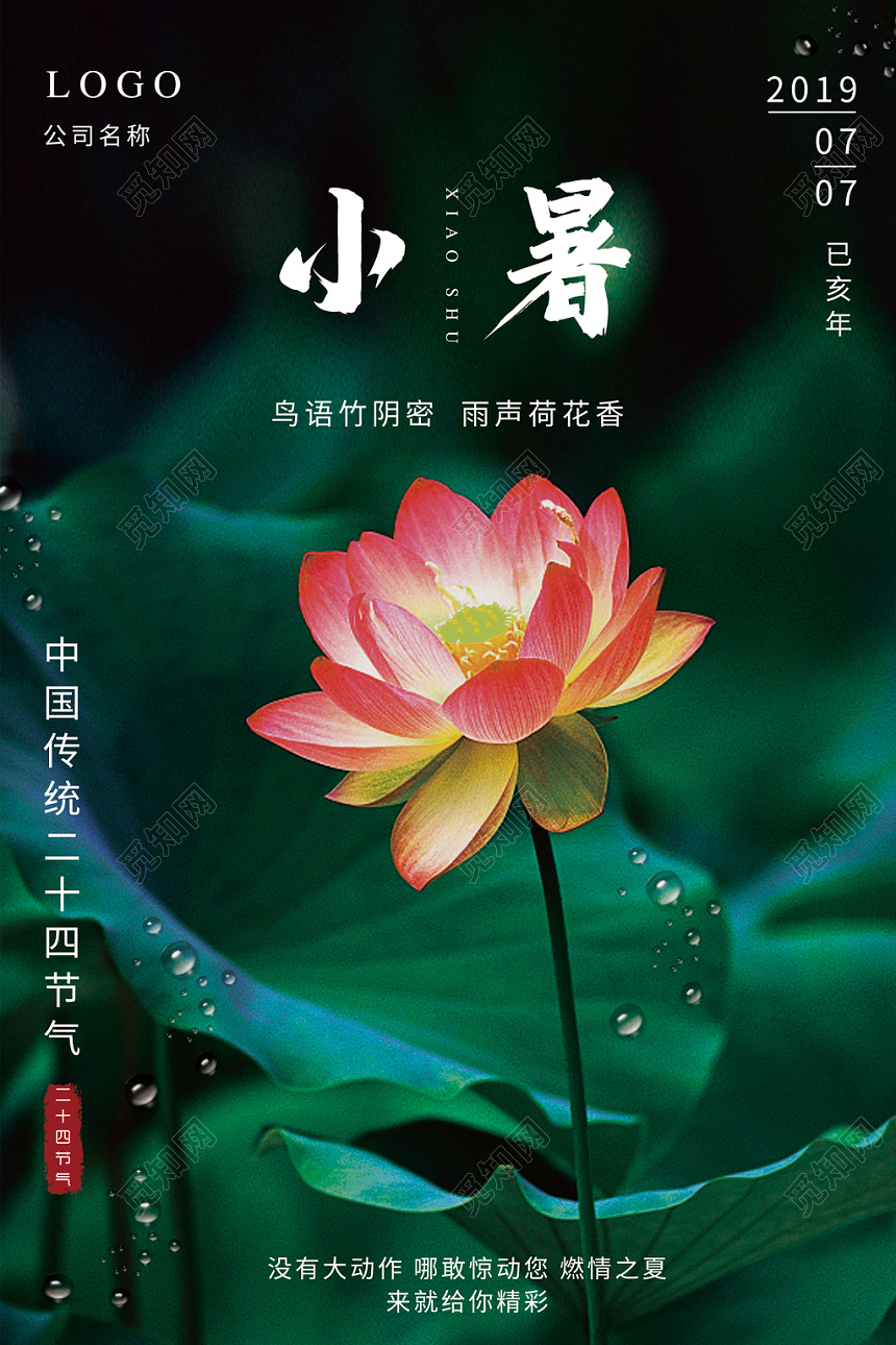 小暑24节气二十四节气荷花深绿色