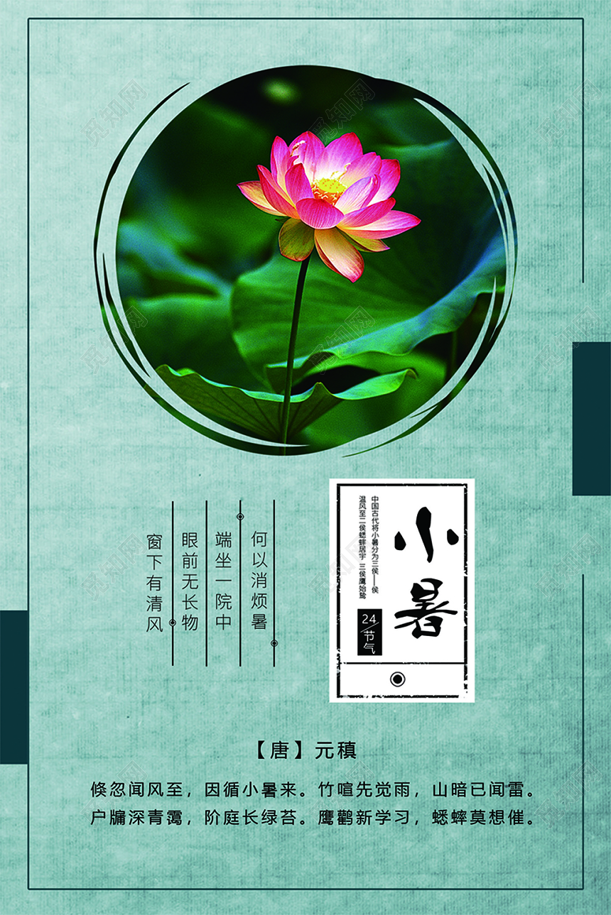 小暑24节气颜色鲜亮