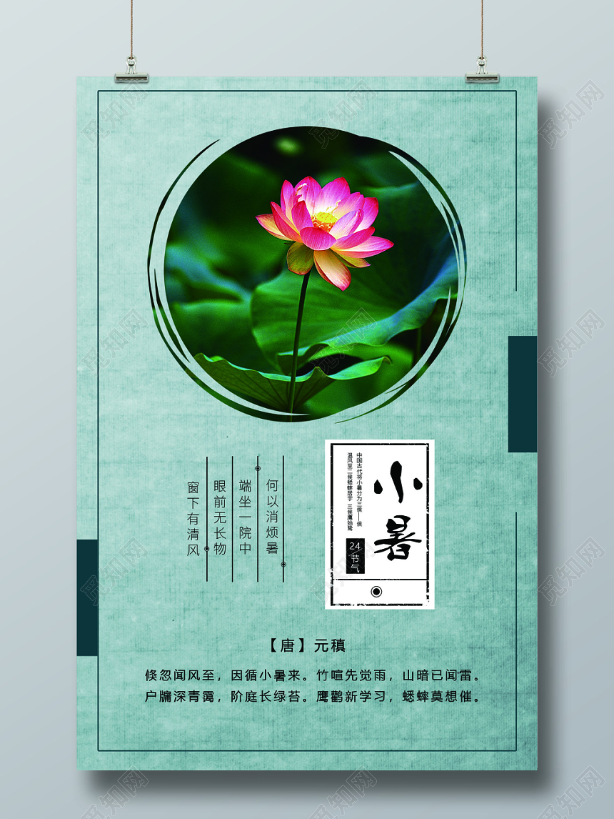 小暑24节气颜色鲜亮