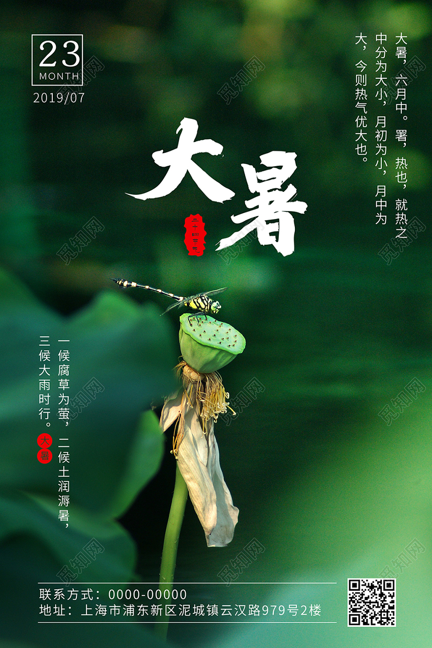 大暑24节气二十四节气荷花墨绿