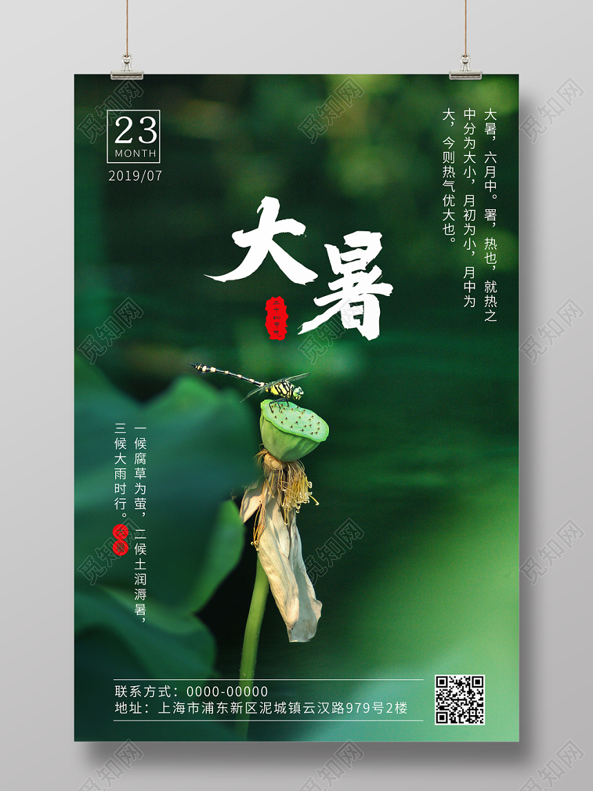 大暑24节气二十四节气荷花墨绿