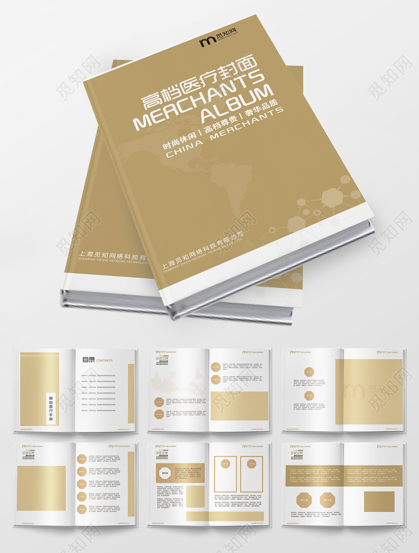 大气金色医院画册宣传画册