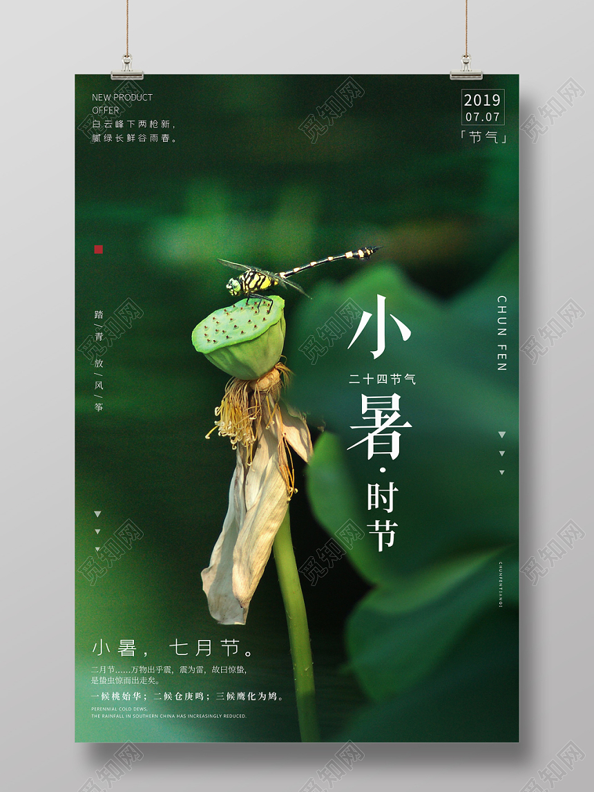 小清新传统二十四节日节气小暑宣传海报