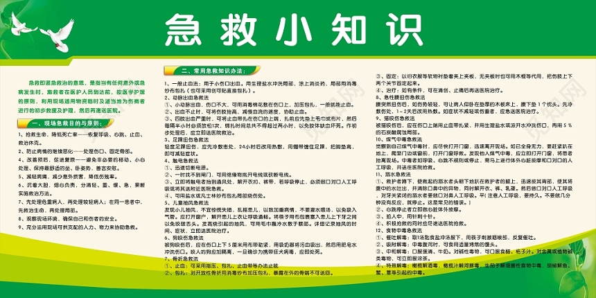 急救知识止血触电抢救生命防止恶化