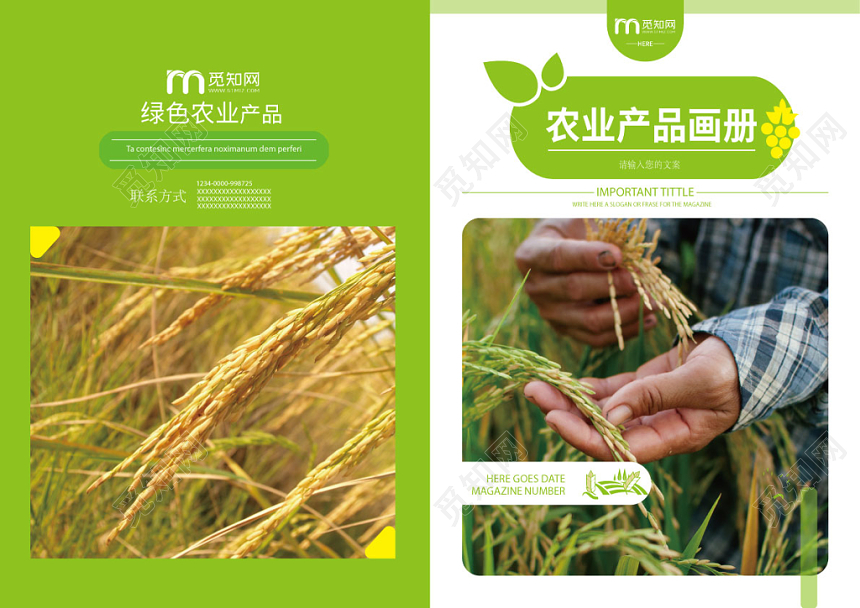 浅绿稻田几何图形农业农产品健康自然宣传画册