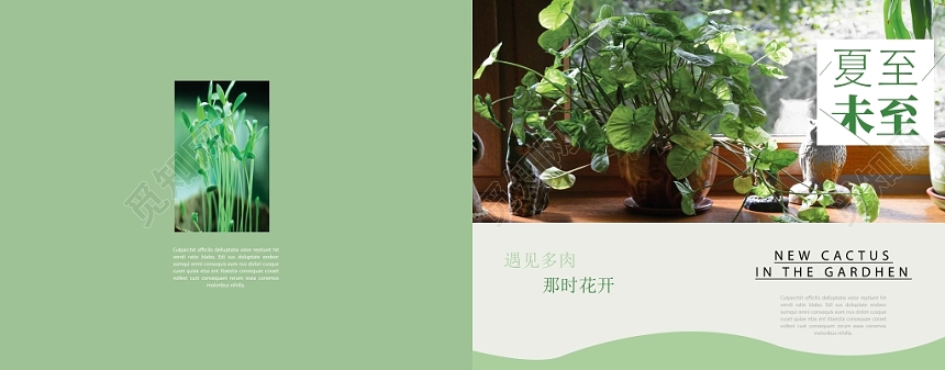 浅绿简约设计夏至未至农业农产品画册