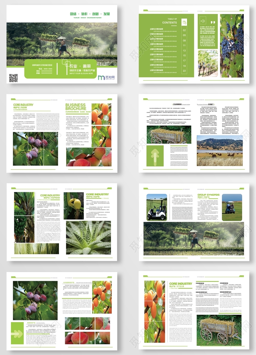 清新简约绿色水果蔬菜农产品宣传画册