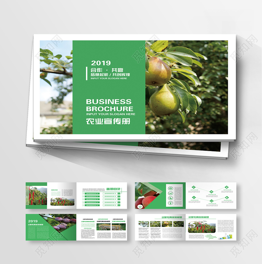 简约绿色清新大气农业农产品果蔬宣传画册