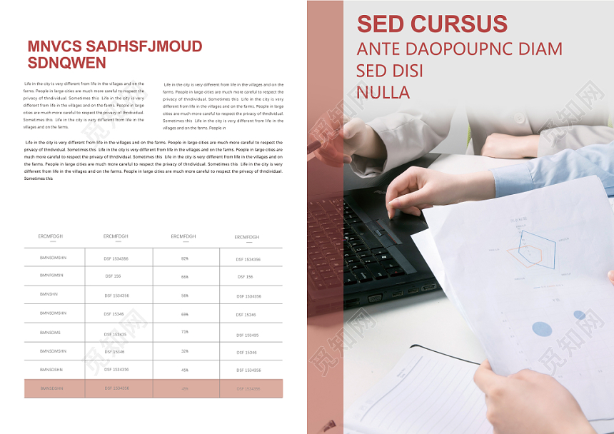 红色大气2019企业宣传册画册