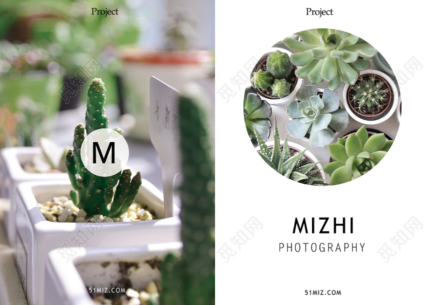 简约清新多肉植物公司产品农业画册宣传册